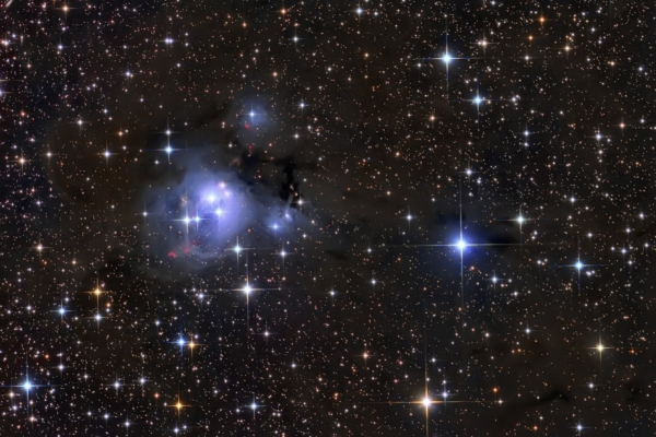 NGC 7129 "Rózsabimbó"